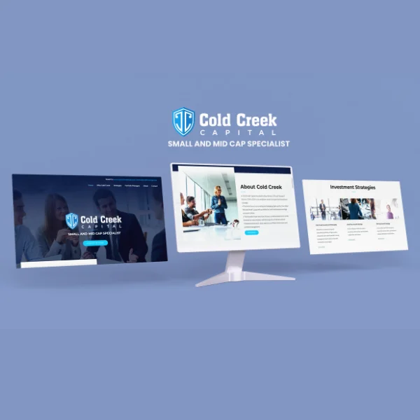B2B Financial Advisory Platform